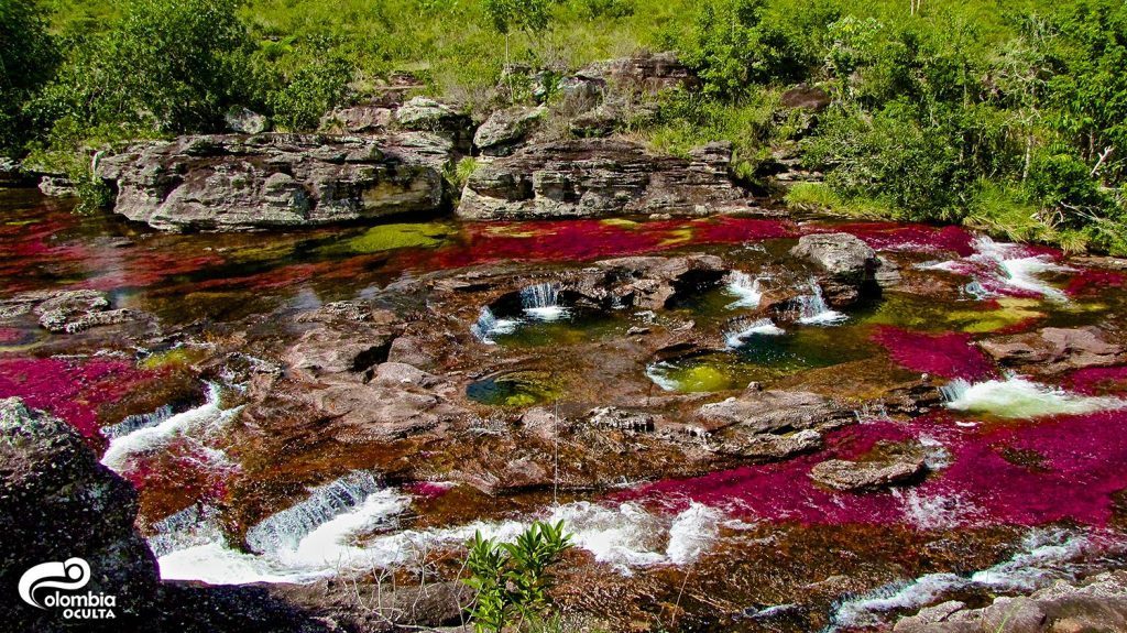 Caño Cristales google maps
