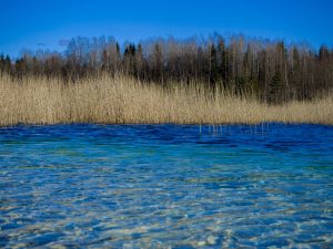 Estonia es un gran destino europeo de ecoturismo