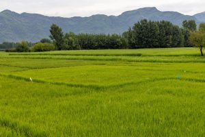 La Unesco designa dos nuevas reservas de la biosfera