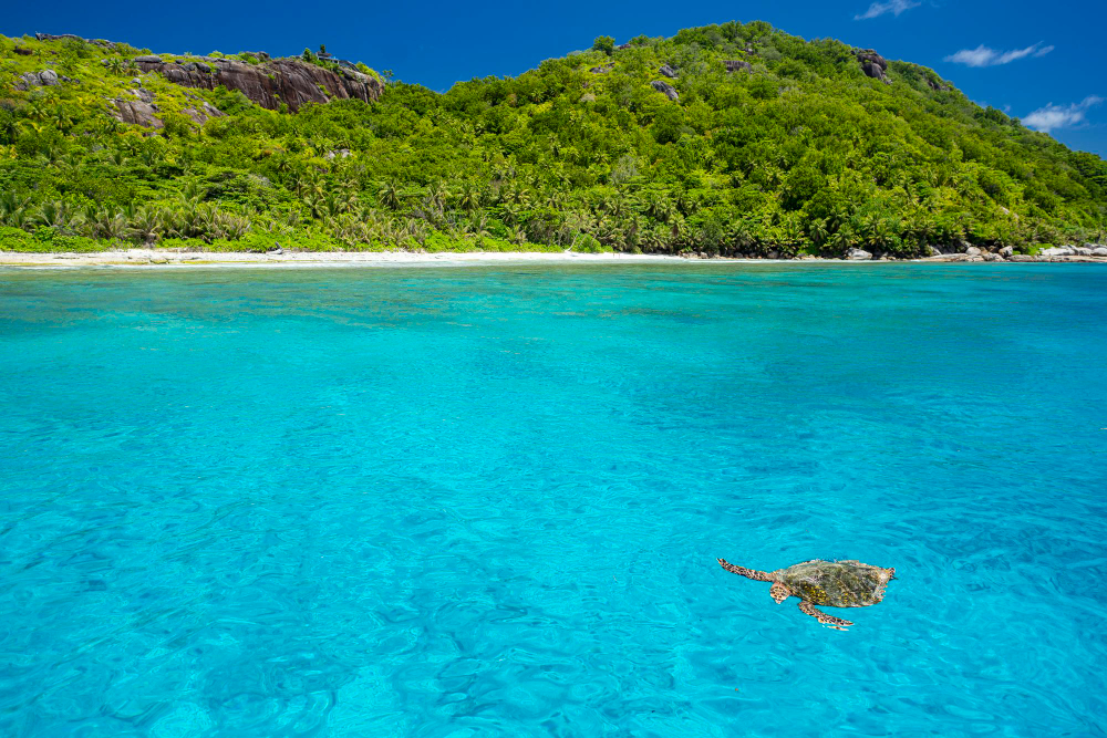 Islas Caimán