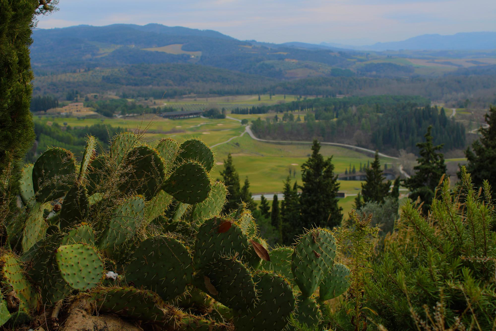 Oaxaca