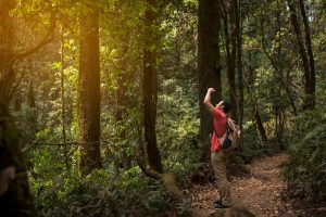 impacto del ecoturismo