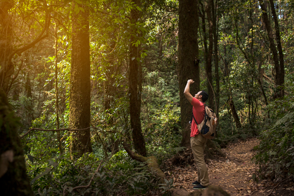impacto del ecoturismo