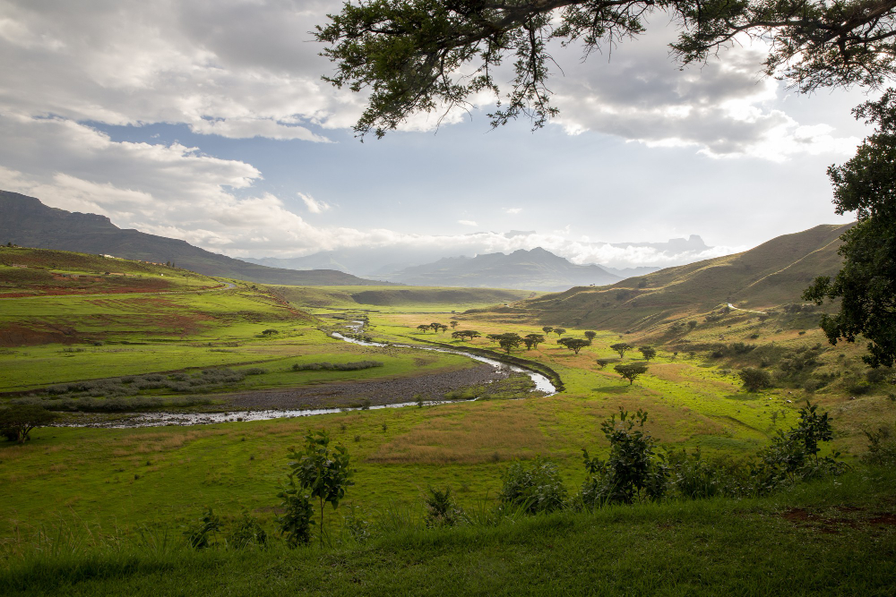 La Vega