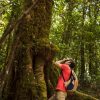 El ecoturismo