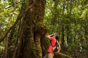 El ecoturismo