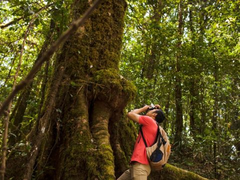 El ecoturismo