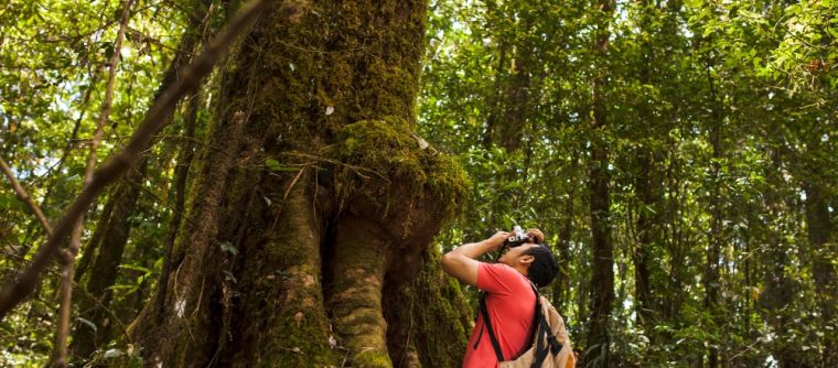 El ecoturismo