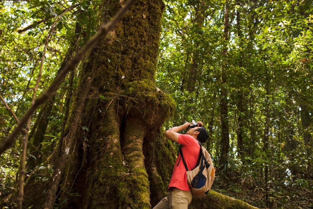 El ecoturismo