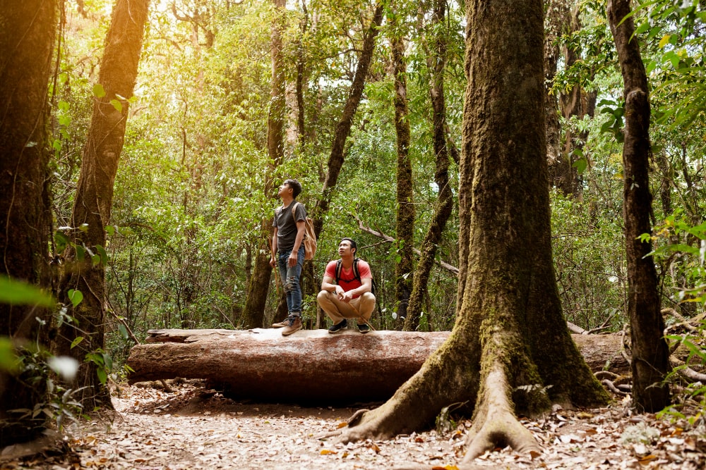 disfrutar del ecoturismo