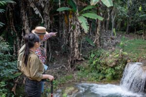 ecoturismo en Colombia
