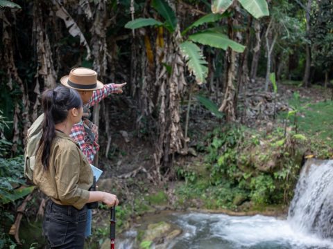 ecoturismo en Colombia