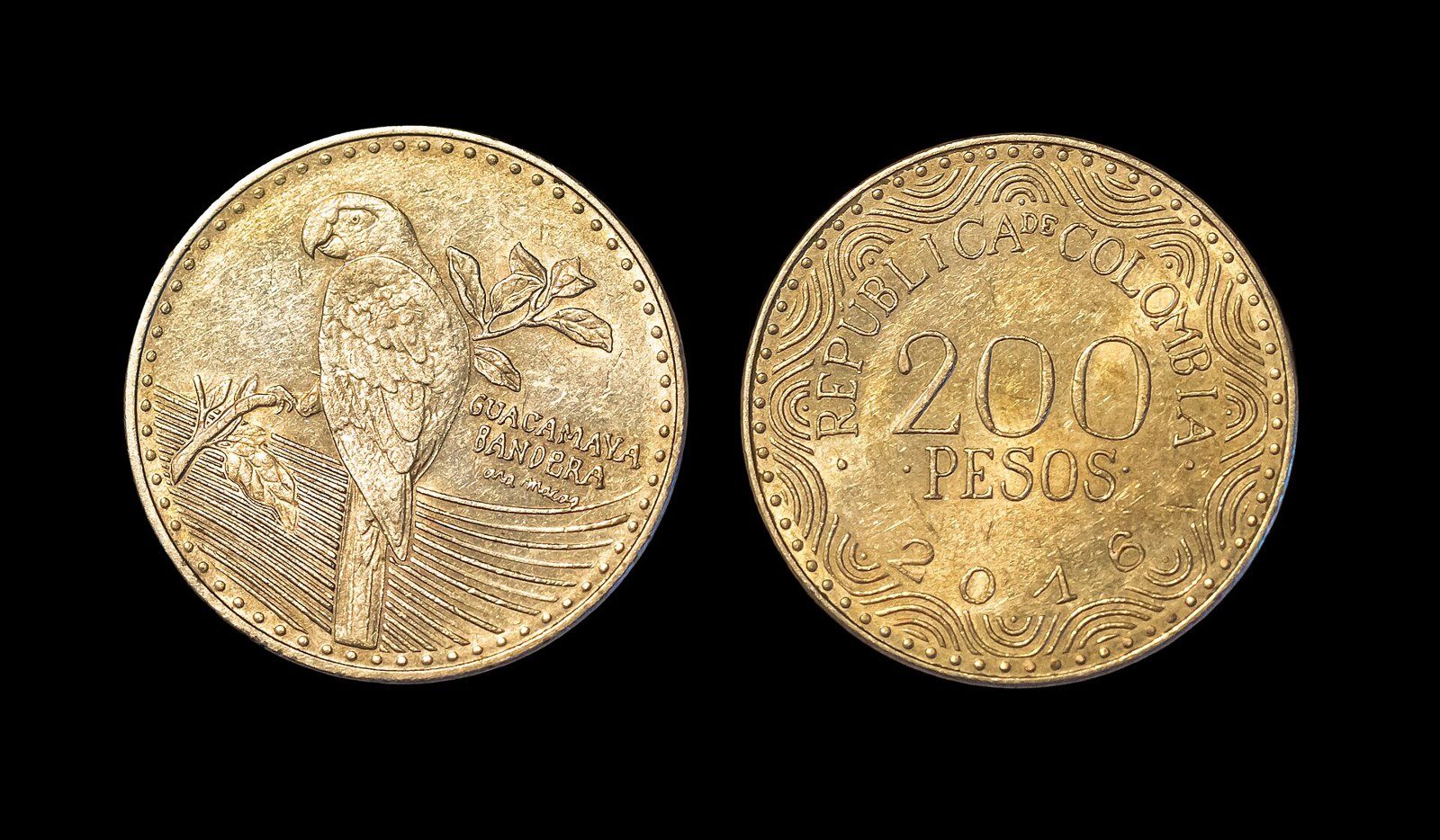 Anverso con un guacamayo posado en una rama y reverso con «República de Colombia, 200 pesos» de una moneda colombiana de 200 pesos, sobre fondo negro